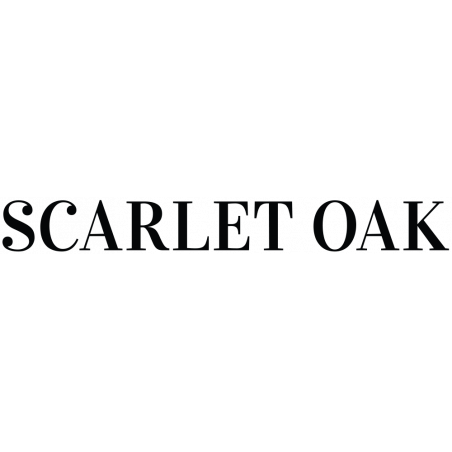Scarlet Oak